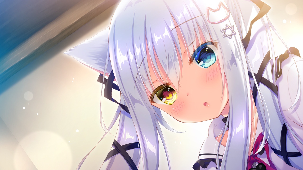 Konachan.com - 279403 animal_ears bicolored_eyes catgirl close game_cg koneko_neko_neko long_hair nekokawa_shirone noda_shuha skyfish white_hair.jpg